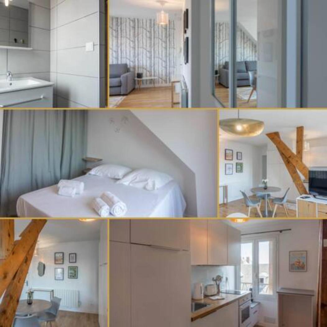 Le Vieux Marche *T2* Apartment Орлеан Екстериор снимка